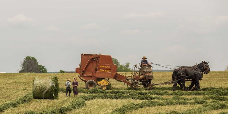 厨房收纳革命:3大空间优化方案,打造高效又温馨的家居生活