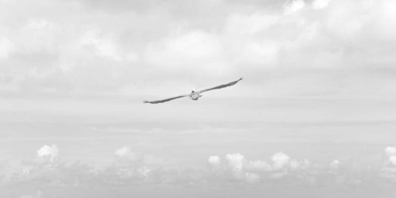 治愈系智能家居:用科技打造温馨高效的安全港湾